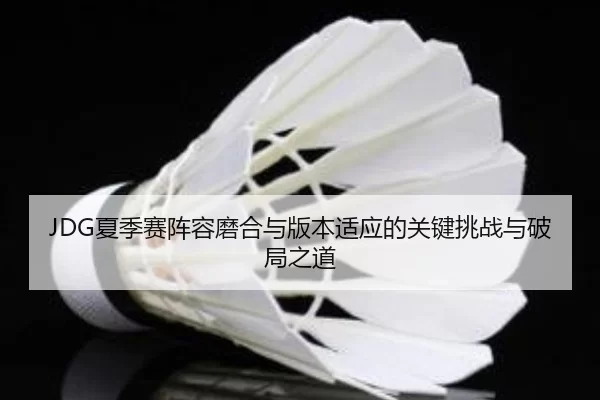 JDG夏季赛阵容磨合与版本适应的关键挑战与破局之道