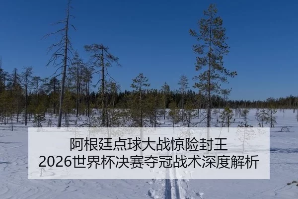 阿根廷点球大战惊险封王 2026世界杯决赛夺冠战术深度解析