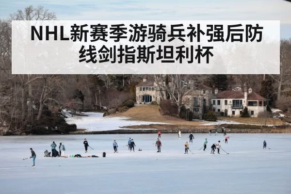 NHL新赛季游骑兵补强后防线剑指斯坦利杯